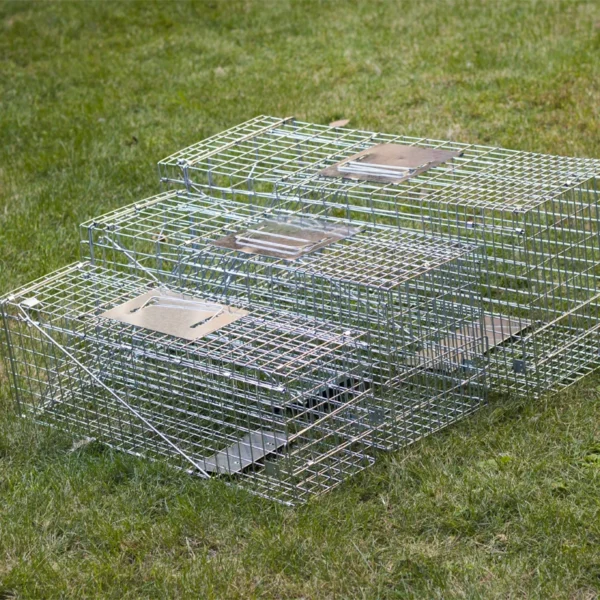 Animal Trap - Image 4